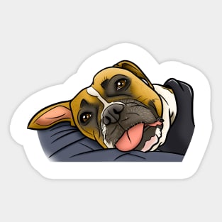 Adorable Boxer with Tongue Sticker